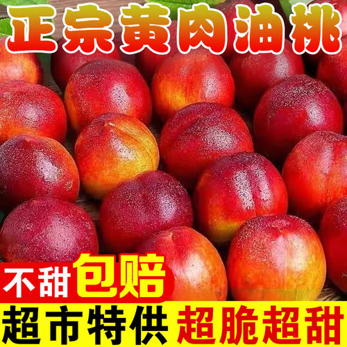 收藏加购 优先发货