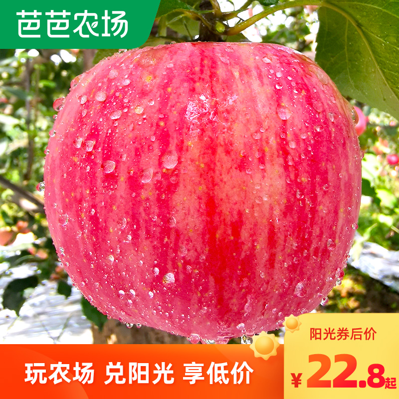 烟台红富士苹果新鲜水果应季当季正宗一级果冰糖心10斤整箱包邮5