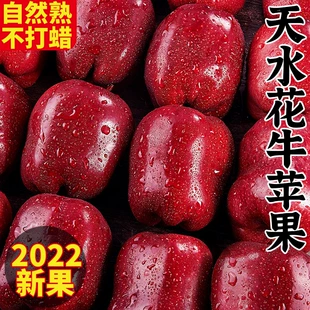 红蛇粉面10丑平果 整箱5斤 甘肃天水花牛苹果水果新鲜当季 包邮