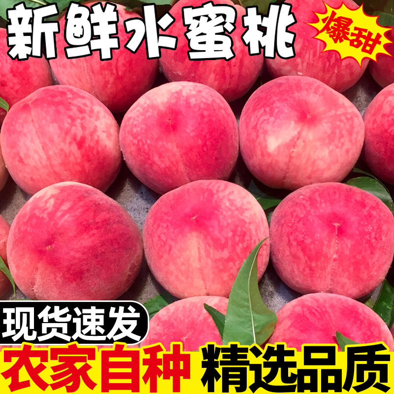 【头茬】现摘水蜜桃新鲜桃子脆甜桃应季软桃子毛桃孕妇水果整箱