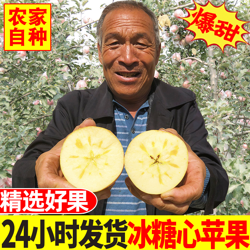冰糖心苹果红富士丑苹果水果新鲜整箱当季5斤山西应季平果10包邮