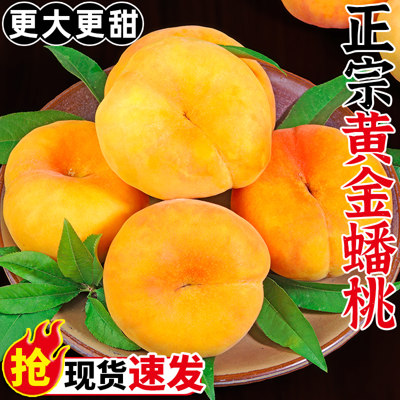 ڲ2.8 װͷԳ|80g+ ڻƽëҾѡ18.8Ԫ