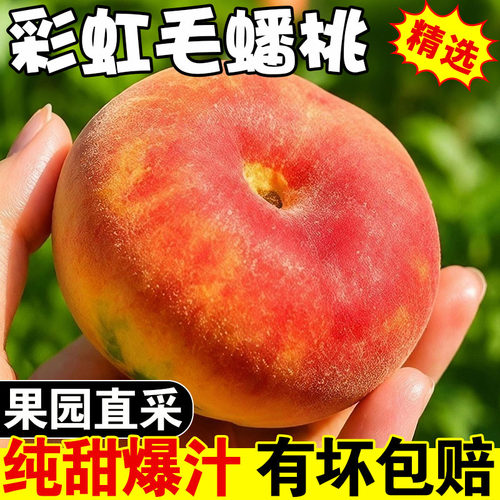 正宗山西头茬彩虹毛蟠桃5斤
