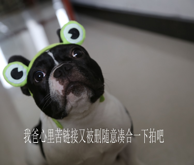 自制夏季木质中性男女通用英国梨