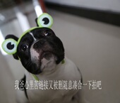 自制英国梨合欢花红玫瑰等夏季 清新花果木质植物香中性男女香水