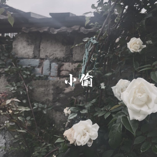 小偷克图无花果玫瑰苦艾苦味清冷苦味小众沙龙香水