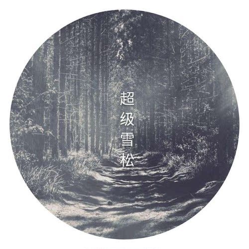 平价替代雪松中性木质众沙龙香水