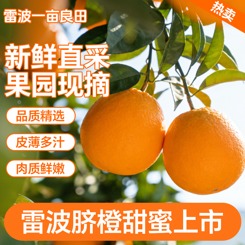 正宗大凉山雷波脐橙新鲜现摘时令鲜果精品甄选果肉质脆嫩酸甜多汁,水产肉类/新鲜蔬果/熟食,橙,淘宝优惠券,粉丝福利购,淘宝优惠卷