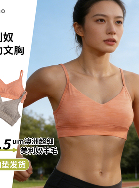 美利奴羊毛运动文胸女户外速干胸罩美丽诺胸衣瑜伽跑步内衣H07
