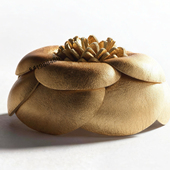 耳钉耳夹合集c包扣菱形爱心金色新品 蝴蝶结皮圈简约黑白五角星ins