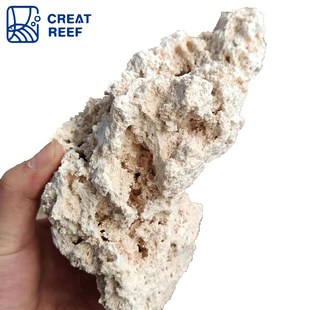 CREAT REEF片状干岩石海水缸珊瑚缸活石造景石死石基拉戈石