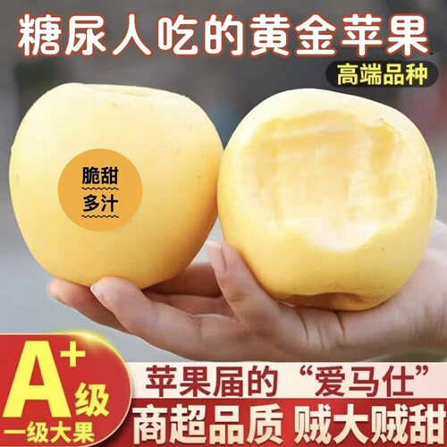 糖尿人吃的水果新鲜采摘奶油黄元帅黄金苹果老人孕妇糖友解馋零食