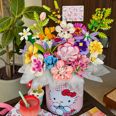 HelloKitty积木花束拼装永生花朵抱抱桶女生系列送闺蜜女朋友礼物