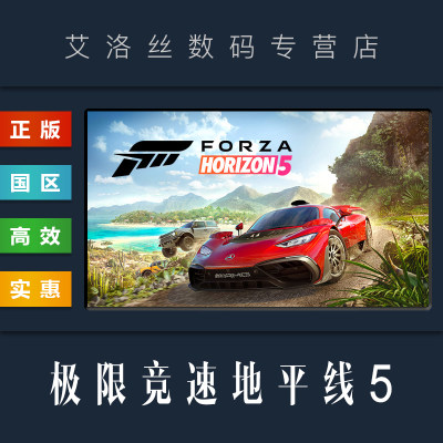 steam正版游戏极限竞速地平线5