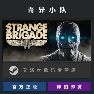 奇异小队 Briga 国区 PC中文正版 游戏 Strange steam平台 奇兵旅