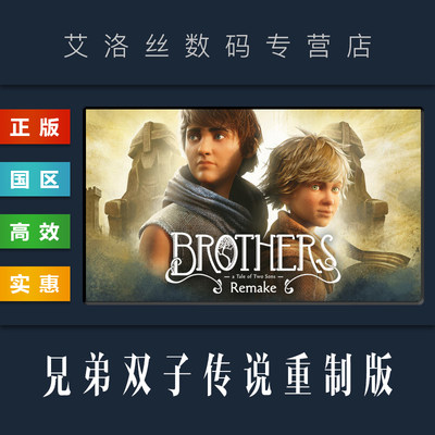 steam正版兄弟双子传说重制版