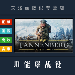 激活码 联机游戏 兑换码 国区 cdk 坦能堡战役 steam平台 PC中文正版 Tannenberg 全DLC