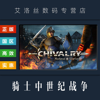 steam正版游戏骑士中世纪战争