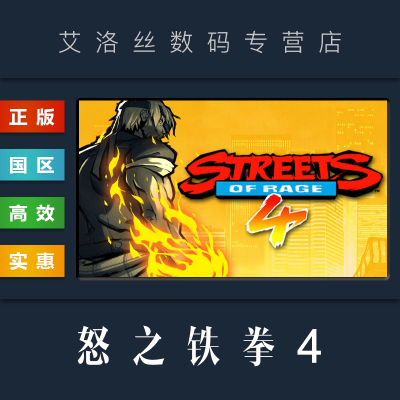 steam平台正版游戏怒之铁拳4