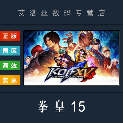 PC中文正版 steam平台 国区 联机格斗游戏 拳皇15 THE KING OF FIGHTERS XV 拳皇十五 标准版 豪华版