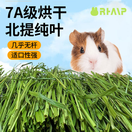 兔兔窝7a级烘干北提摩西草豚鼠草