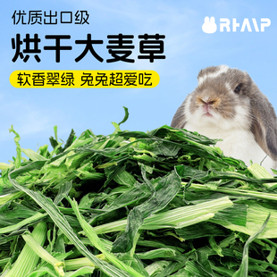 兔子大麦草段 香脆绿口感超赞2kg起包邮  兔子龙猫荷兰猪很爱600g