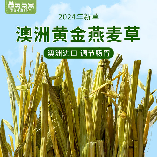 澳洲进口燕麦黄金草段兔草现货
