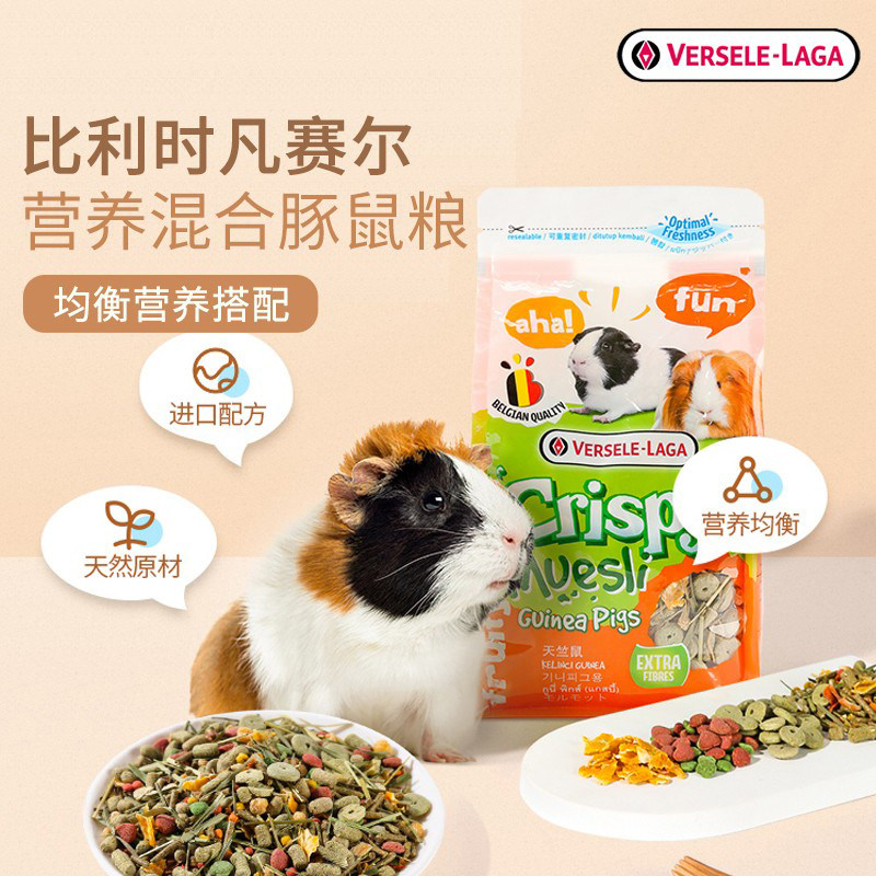 包邮比利时凡赛尔豚鼠粮图片