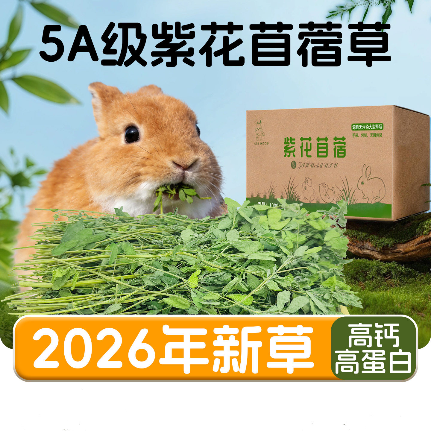2026烘干紫花苜蓿草干草牧草幼兔子豚鼠荷兰猪龙猫饲料提摩西草