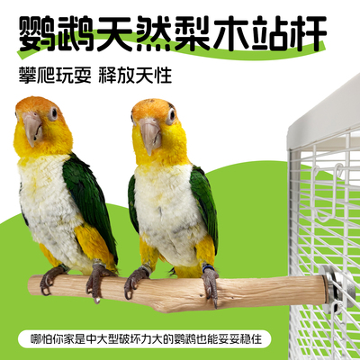 鹦鹉站杆铁梨木磨爪棒磨砂鸟站棒