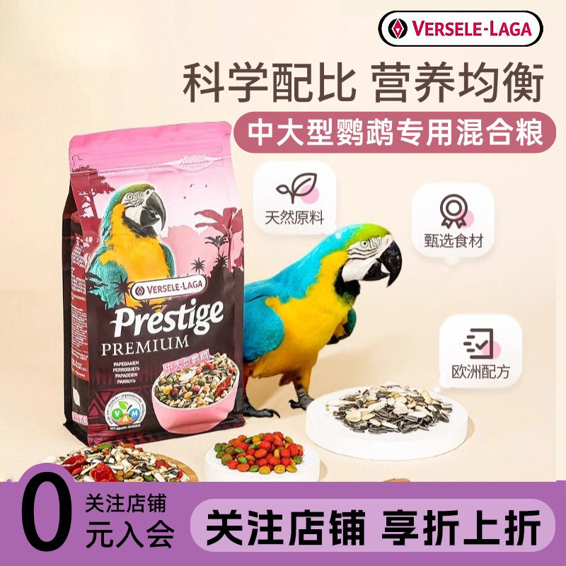 比利时凡赛尔灰鹦鹉粮食饲料