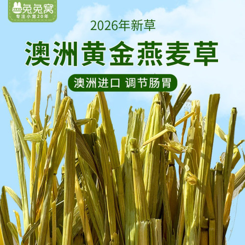 澳洲进口燕麦黄金草段兔草现货