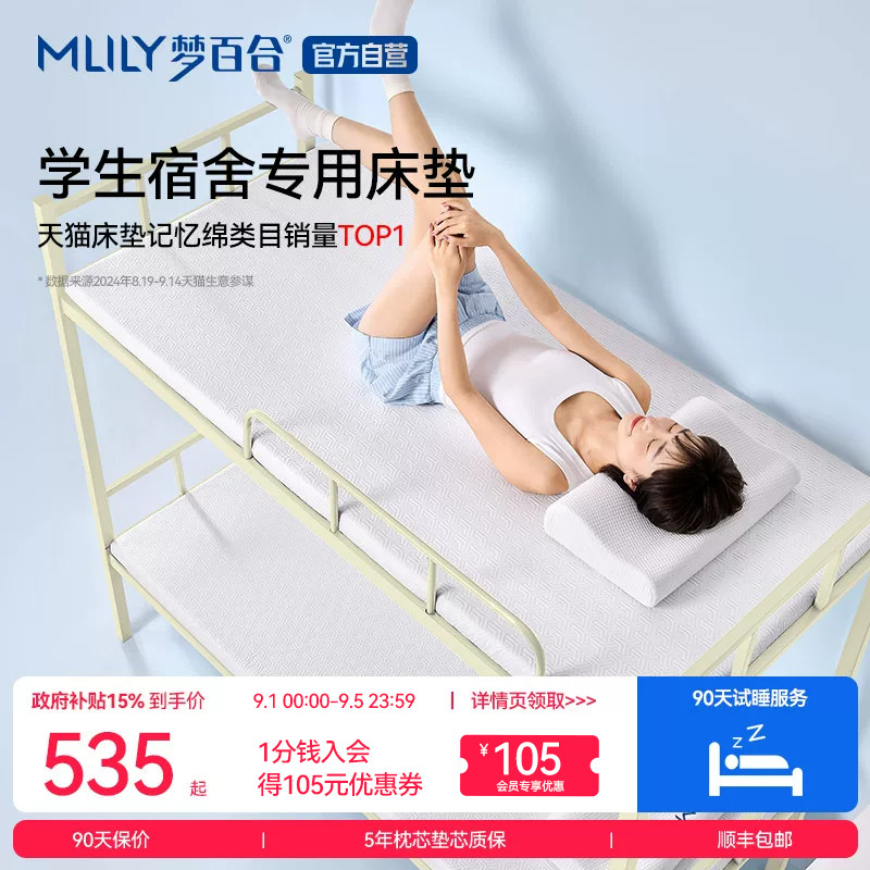 单人记忆棉棉租房专用海绵软垫子图片