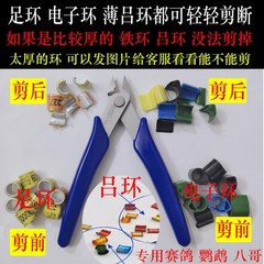 剪足环工具鹦鹉鸽子脚肿大剪钳子赛鸽脚环剪刀神器信鸽用品鸽具