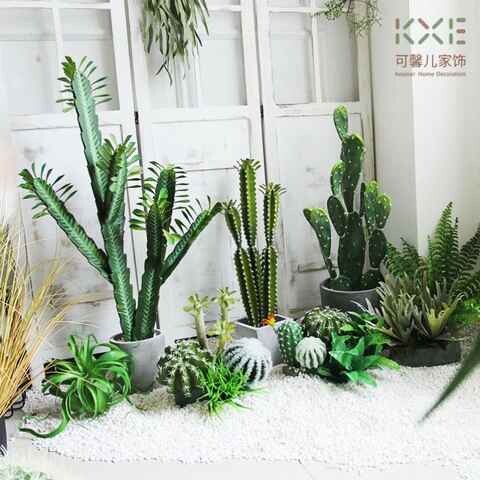 仿真仙人掌装饰摆件商场网咖民宿软装仙人柱服装店铺橱窗陈列布景