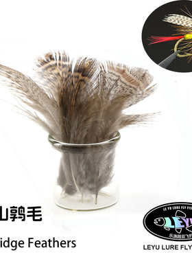 进口山鹑毛 Soft Hackle 斑点颈羽 湿蝇天展钩通用飞蝇钩绑制材料