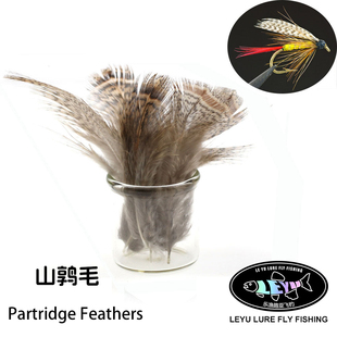进口山鹑毛 Soft Hackle 斑点颈羽 湿蝇天展钩通用飞蝇钩绑制材料