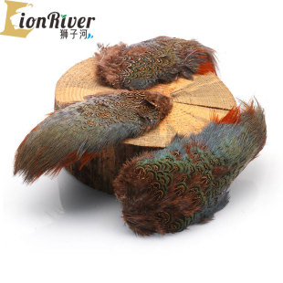 Pheasant 湿蝇古典饰带绑制材料 back 野鸡背部 lionriver