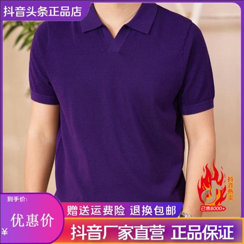 逸飞轻奢男装专柜男高品质商务polo衫海鸥领针织短袖T恤纯色简约