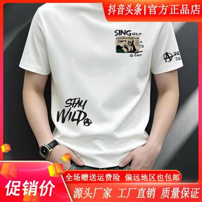 Amphelisia痞帅重磅冰感短袖T恤男士夏季ins潮牌街头时尚百搭上衣