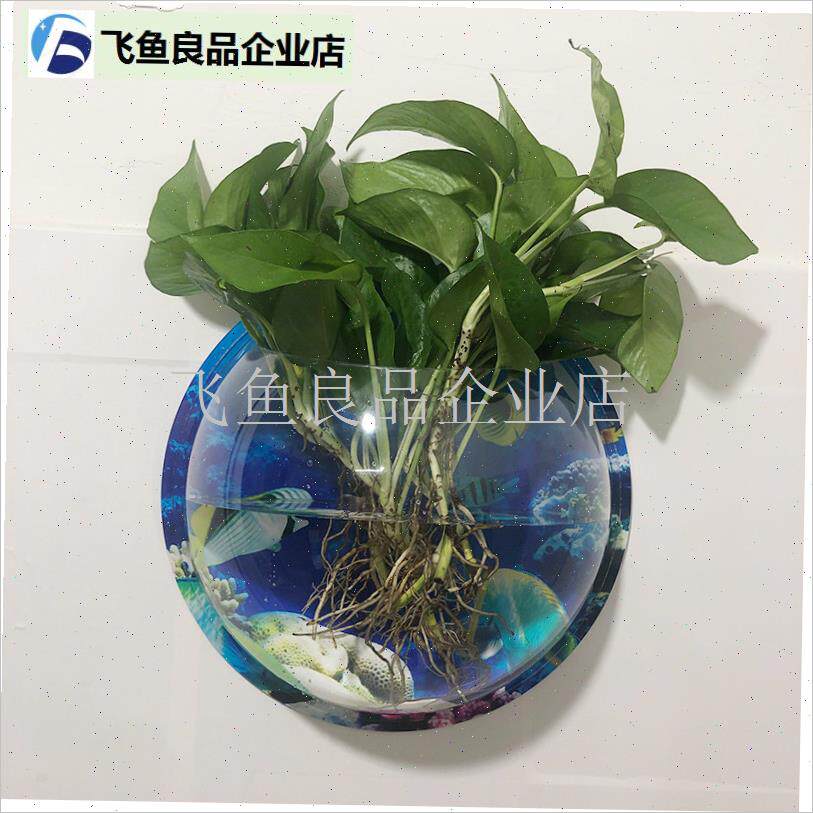 壁挂花盆创意吊兰花盆绿u萝水培多肉花盆迷你小花盆墙上吊挂壁花,