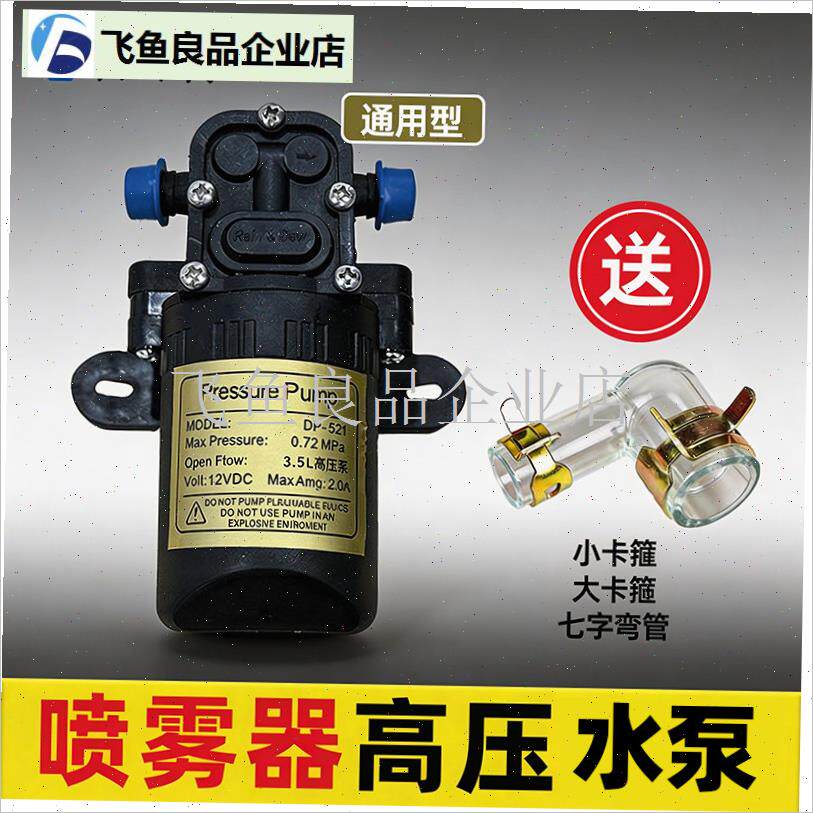 双泵电动喷雾器水泵电动打药桶专用双泵J电机12伏高压双电机抽水,