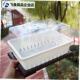 塑料小号育苗盆i叶插盆闷养盖多肉植物小苗盆栽黑白色整理框保温