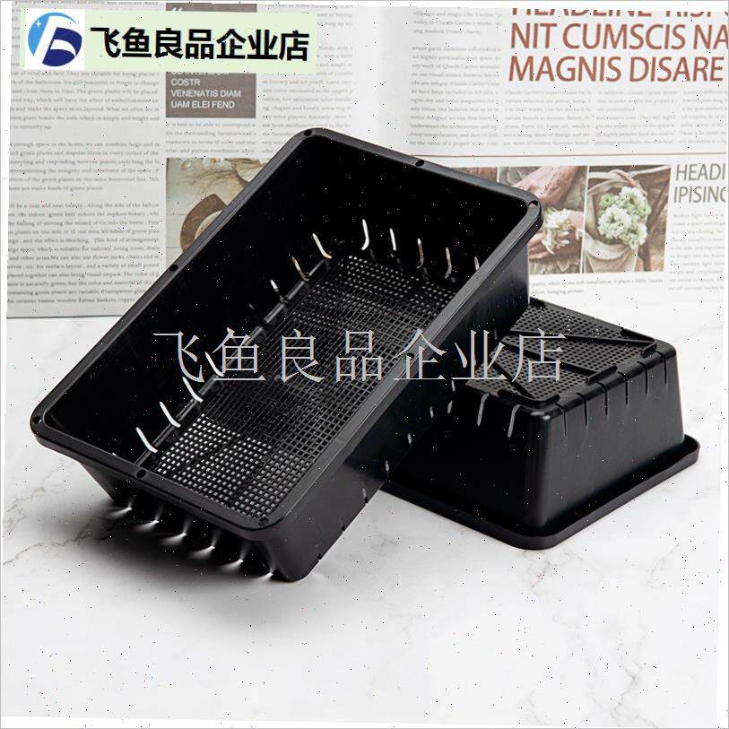 塑料多肉育苗盘小号带盖加v厚叶插F盆播种器育苗托盘闷养盆黑方,