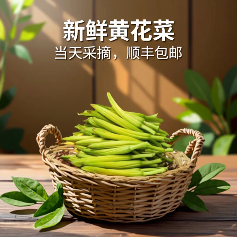 顺丰包邮云南新鲜黄花菜忘忧草金针时令蔬菜现摘现发凉拌火锅食材
