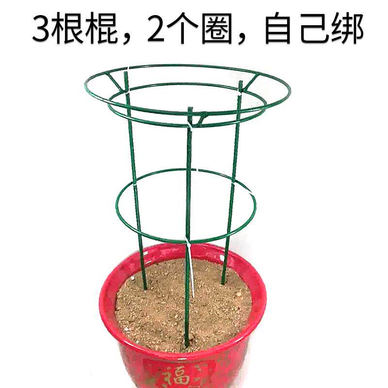 昙花架子支架固定工具庭院实用园艺室内中式户外围墙固定架花盆架