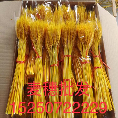 【花店专用】金色麦穗黄金大麦开业花篮天然小麦干花道具黄金麦穗