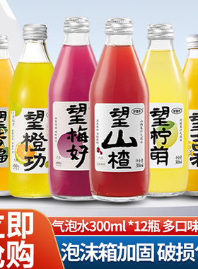 好望水望山楂果汁气泡水300ml*12瓶梅好杏福橙功结婚订婚伴手礼