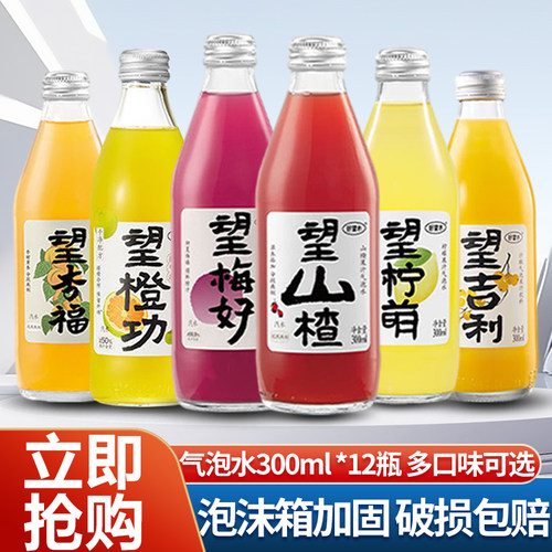 好望水望山楂果汁气泡水300ml*12瓶梅好杏福橙功结婚订婚伴手礼
