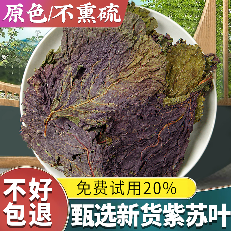 紫苏叶250g紫苏叶泡水野生紫苏叶干泡茶泡脚小叶紫苏叶粉非中药材